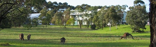 La Trobe Bundoora Campus